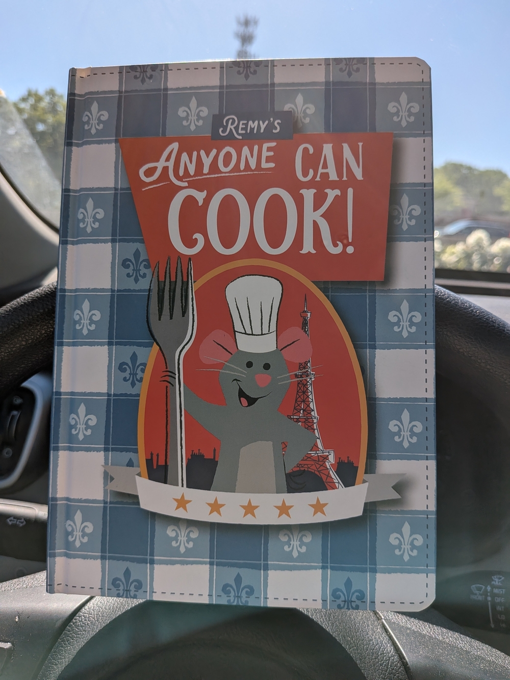 Disney Ratatouille Remy "Anyone Can Cook!" Blue Plaid Recipe Journal